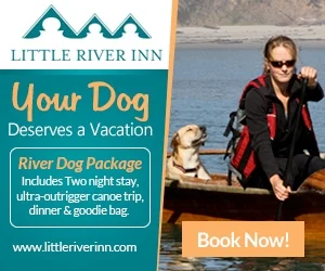 Image from Calling all river dogs! on DogTrekker