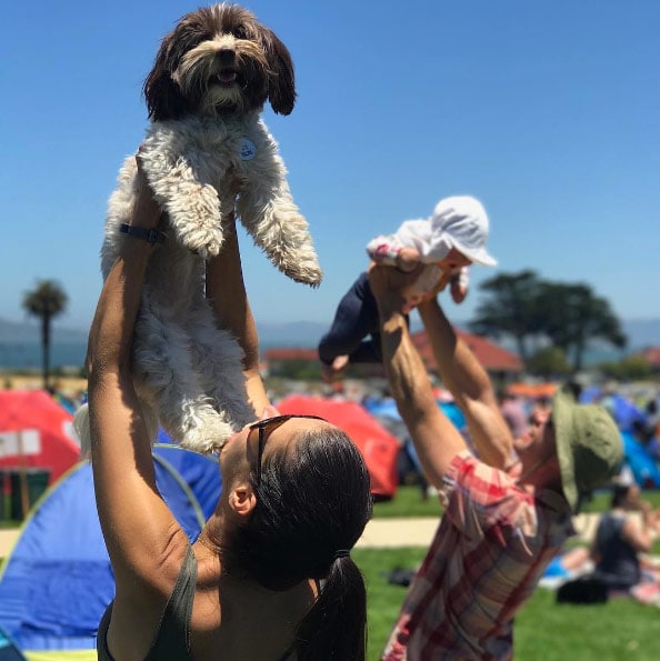 People holding up cute dogs