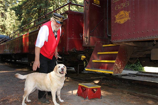 Dog getting ready to board a train