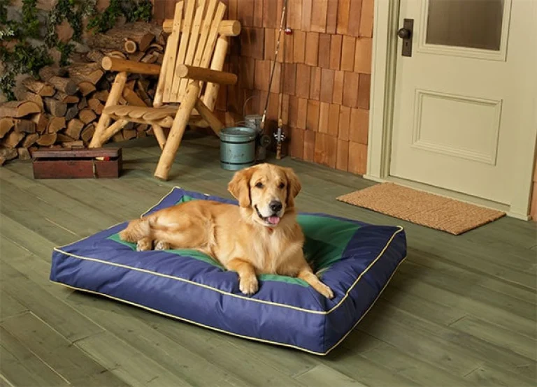 Image from Old-fashioned fun at Shasta Cascade cabin resorts on DogTrekker