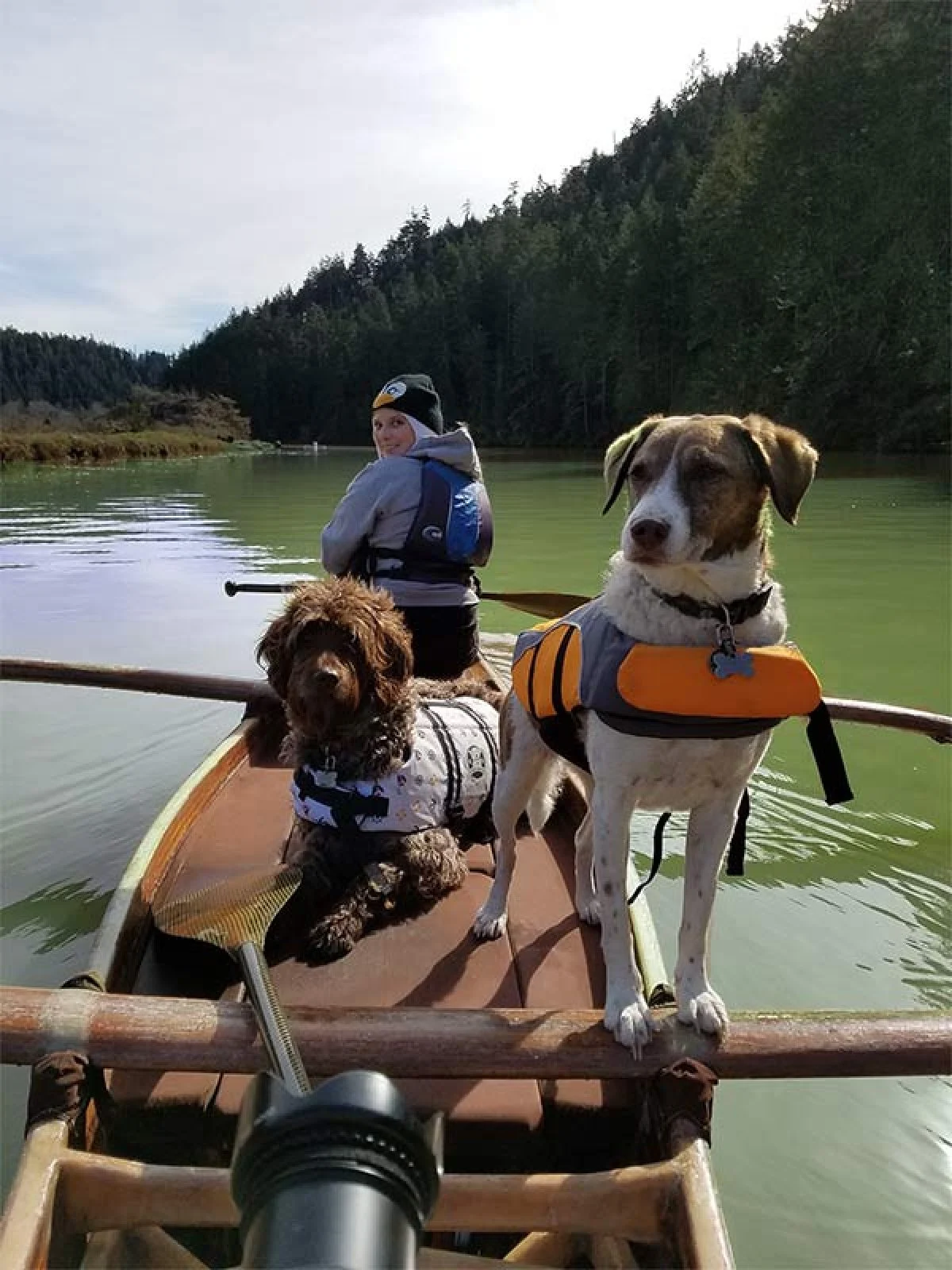 Image from Dogcation adventures at the Stanford Inn and beyond on DogTrekker