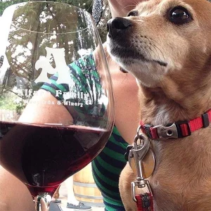 Where to Cruz with your pup