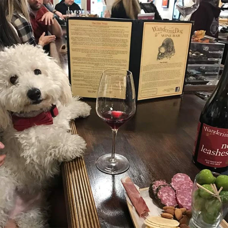 Image from Sip and stroll in Santa Barbara County on DogTrekker