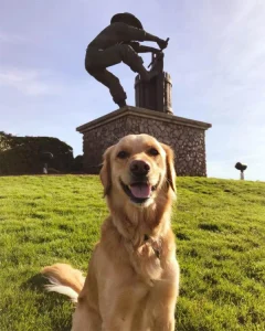 Like art? Leash up and feast your eyes