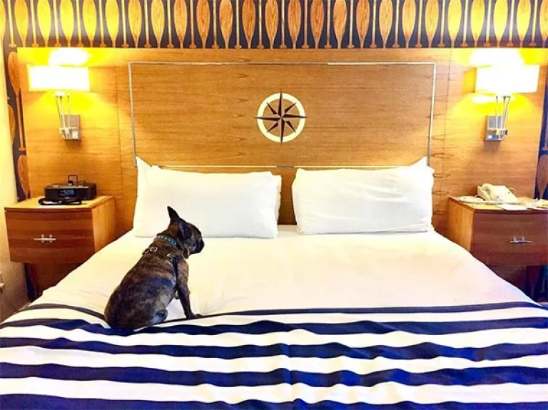 Image from Stay a night or three on DogTrekker