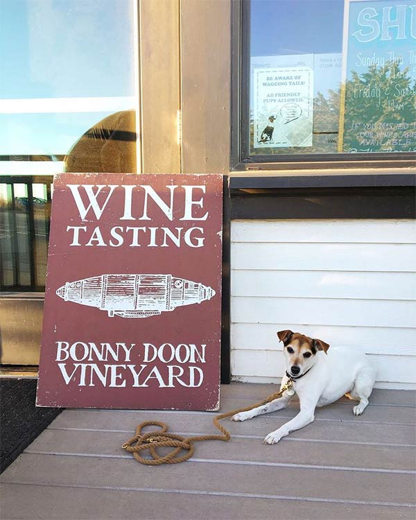 Dog next to Sant Cruz Dog-friendly winery sign