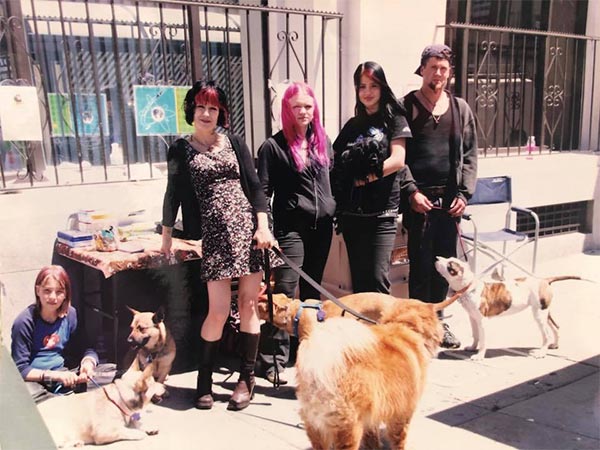 People and dogs at Rocket Dog rescue