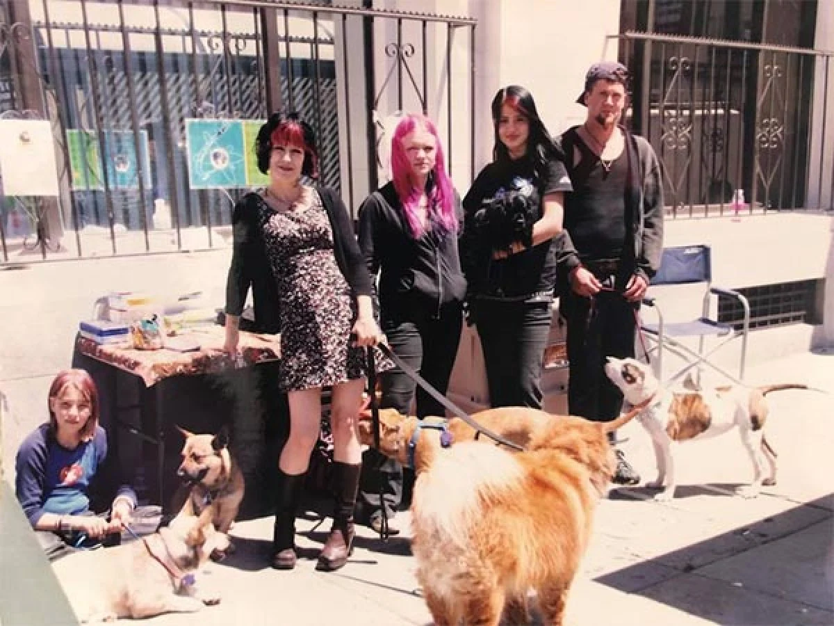 Image from Rocket Dog rescue 2018 on DogTrekker