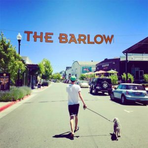 Dog and person by The Barlow entrance sign