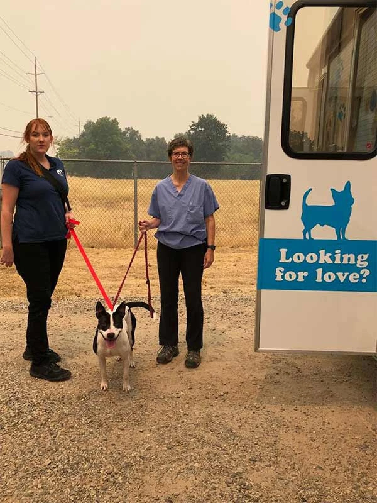 Image from Haven humane society saving lives in carr fire on DogTrekker