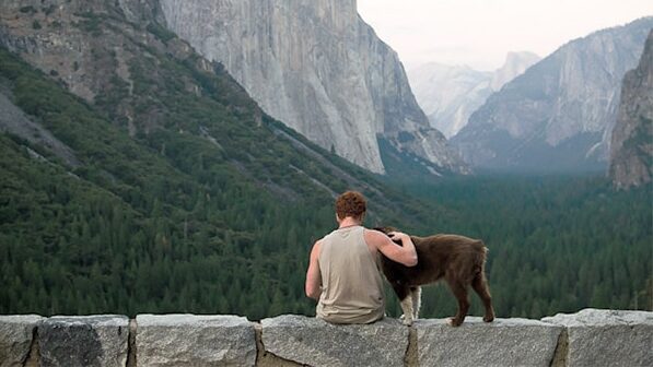 Dog with incredible view of Yosemite Half Dome