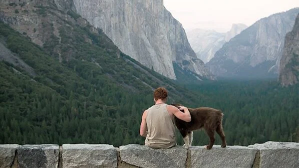 Image from Time to revisit Yosemite with your dog on DogTrekker