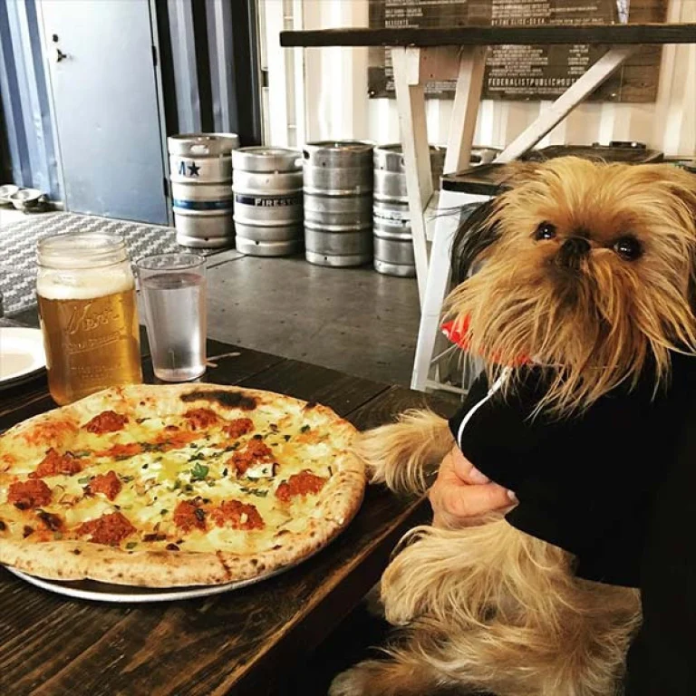 Image from Eat, drink, be merry with your dog by your side on DogTrekker