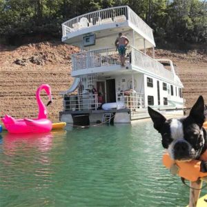 Dog and people in a houseboat on Shasta Lake