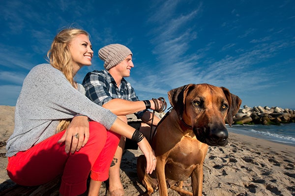Dog and people on the Santa Cruz County coast