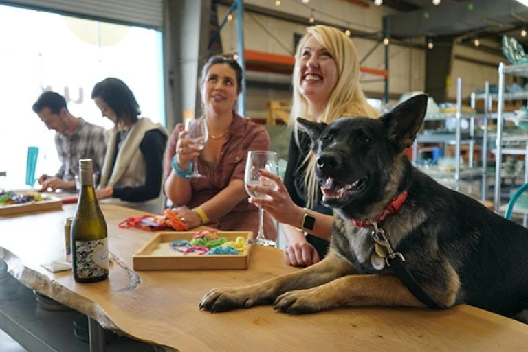 Image from Wine with your pup on DogTrekker
