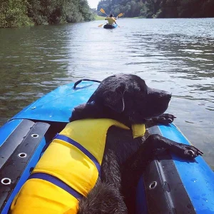 Get your float on in Sonoma Wine Country!