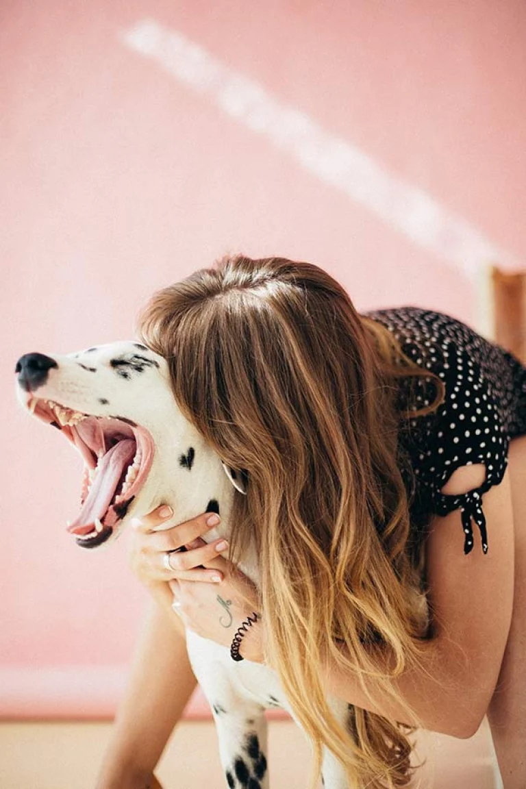 Image from How we know dogs can feel our emotional stress on DogTrekker