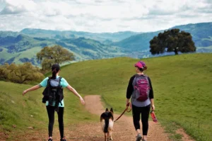Tri-Valley: open space and wine country for your dog