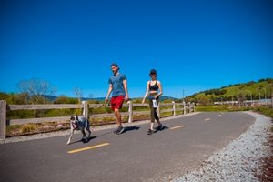 A vibrant dog park bathed in sunlight features abundant greenery with mature trees, offering ample shade for leisurely outdoor activities. In the distance is a well-equipped playground that presents an additional activity area. An inviting picnic table spreads out nearby, ideal for enjoying meals al fresco or taking relaxing breaks from play. A neatly-placed trash bin aids in maintaining the park's cleanliness for everyone's enjoyment. Dominating the scene is a generously wide dirt path gracefully curving through the expanse of grass, promising exploratory walks and lively fetch games.