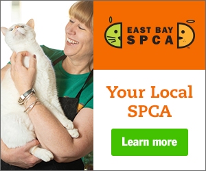 East Bay SPCA poster