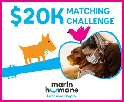 Image from Marin Humane cancels Woofstock, needs support on DogTrekker