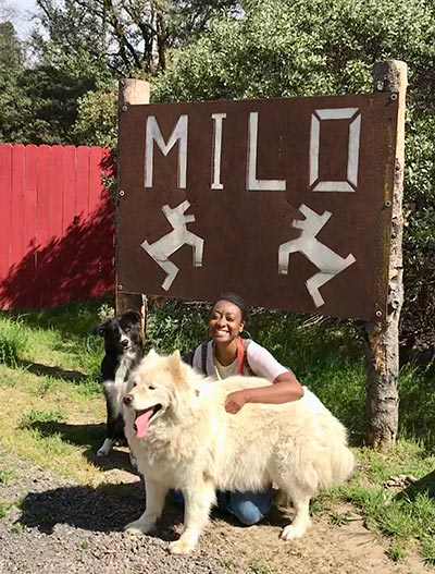 Milo rescue dog