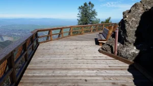 Proactively accessible Concord for you and your dog