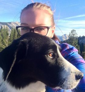 A vibrant dog park bathed in sunlight features abundant greenery with mature trees, offering ample shade for leisurely outdoor activities. In the distance is a well-equipped playground that presents an additional activity area. An inviting picnic table spreads out nearby, ideal for enjoying meals al fresco or taking relaxing breaks from play. A neatly-placed trash bin aids in maintaining the park's cleanliness for everyone's enjoyment. Dominating the scene is a generously wide dirt path gracefully curving through the expanse of grass, promising exploratory walks and lively fetch games.