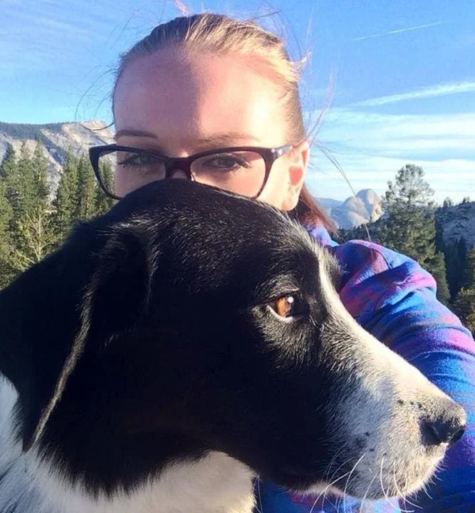 Image from Take a swim on DogTrekker