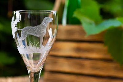 Image from Cruz the mountain wine roads with your pup on DogTrekker