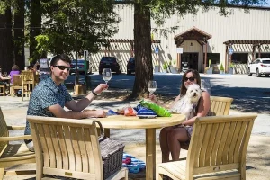 Silicon Valley through a DogTrekker lens