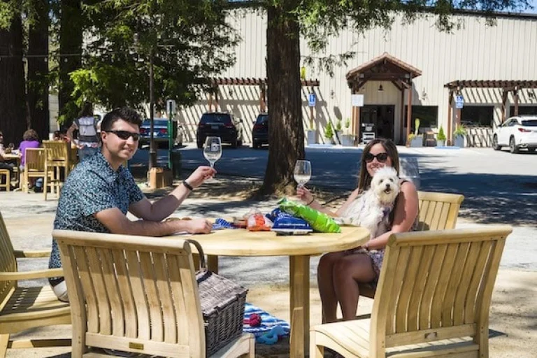 Image from Silicon valley through a Dogtrekker lens on DogTrekker