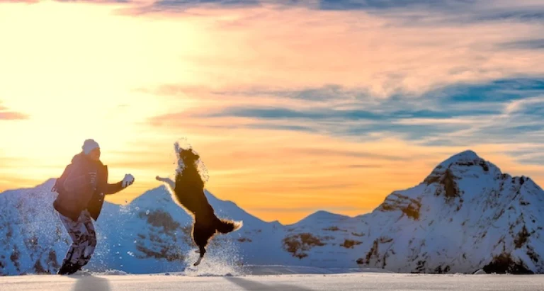 girl plays with border collie in the snow