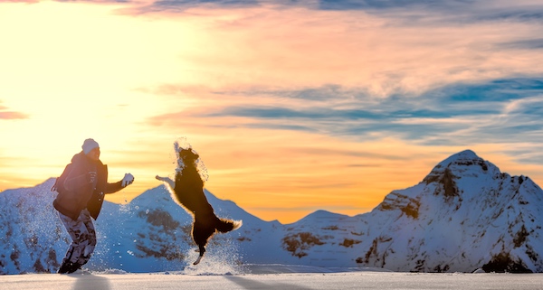 Girl playing with border collie at a Sno-Park