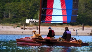 Dog-friendly road trip: Highway 128, Mendocino County