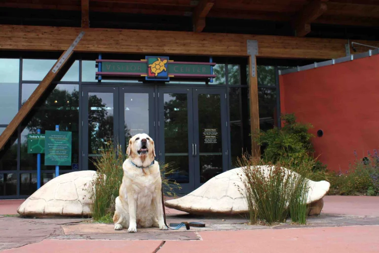 Image from Dog-friendly road trip north: the compass points toward Redding on DogTrekker