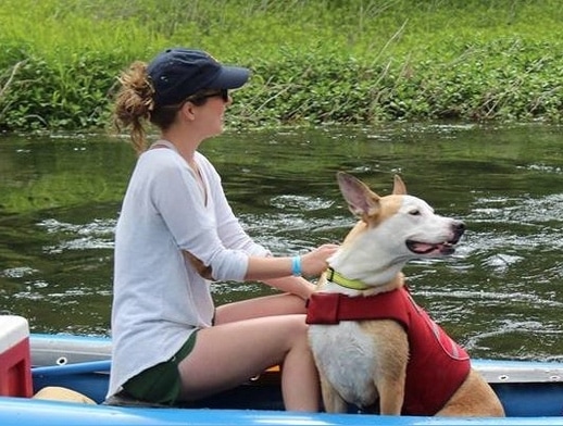 White dog and woman in canoe on the river