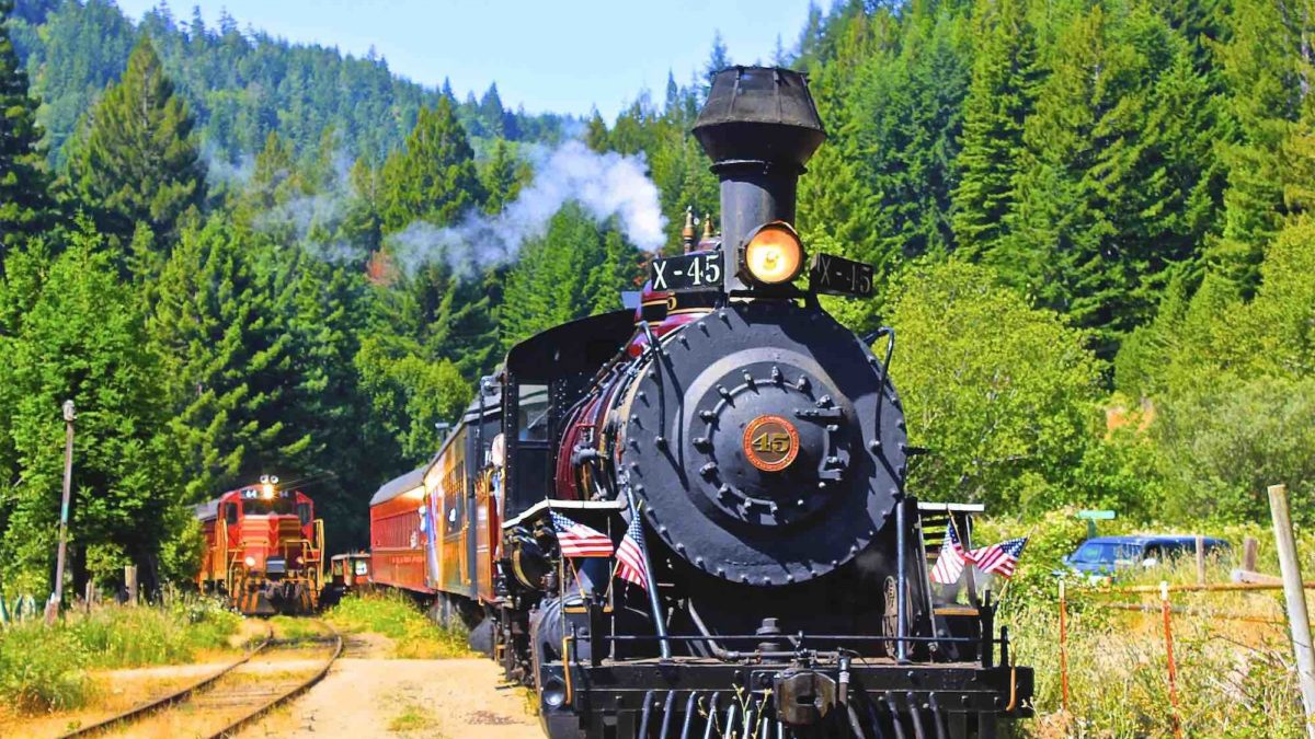 Dogfriendly trains in Gold Country Tuolumne County