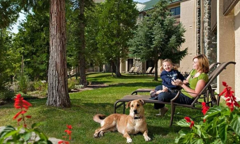 Image from High altitude amenities on DogTrekker