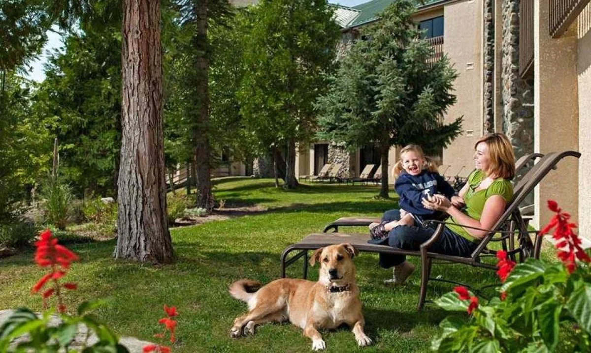 Image from High altitude amenities on DogTrekker