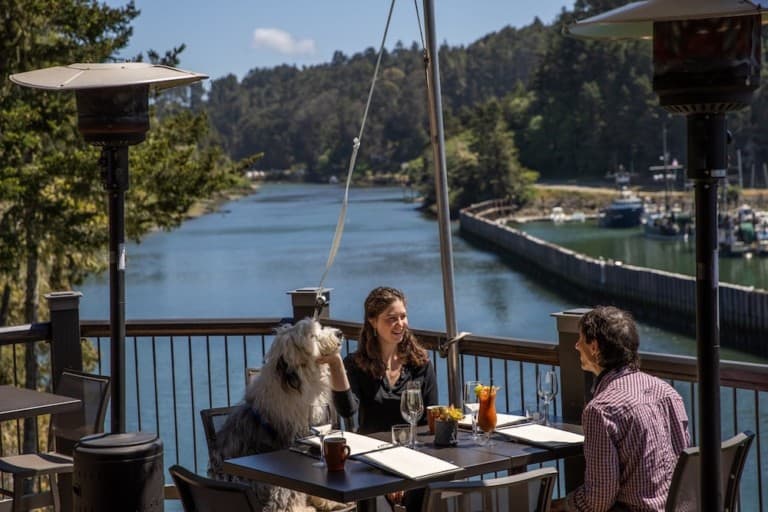 Dog and people taking in the view at Noyo Inn