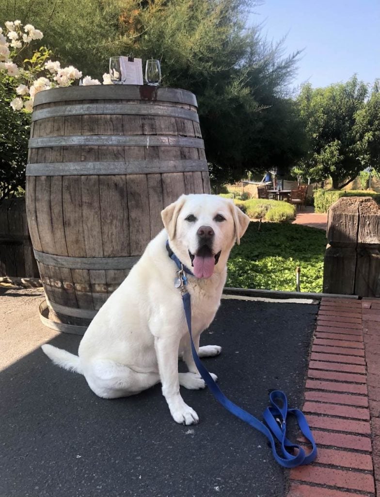 Kayla with her people at a winery in Mendocino County