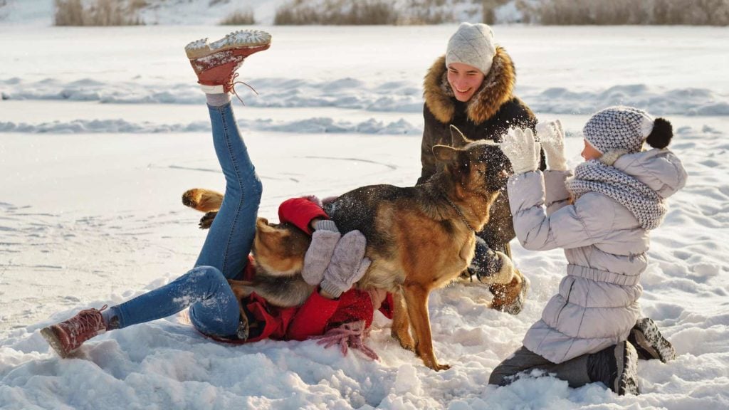 Teens with their German Shepherd on a walk in a winter park