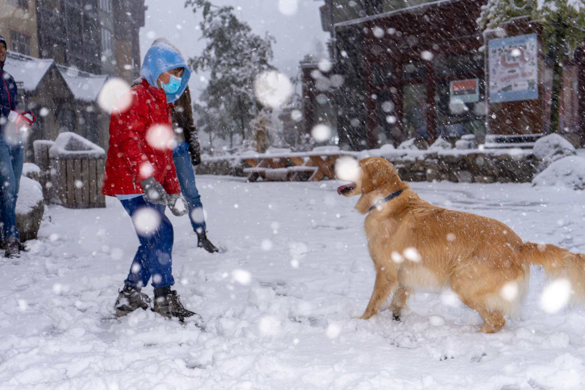 Dog and person at Mammoth Lakes in the winter