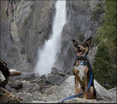 Yosemite waterfall gusher