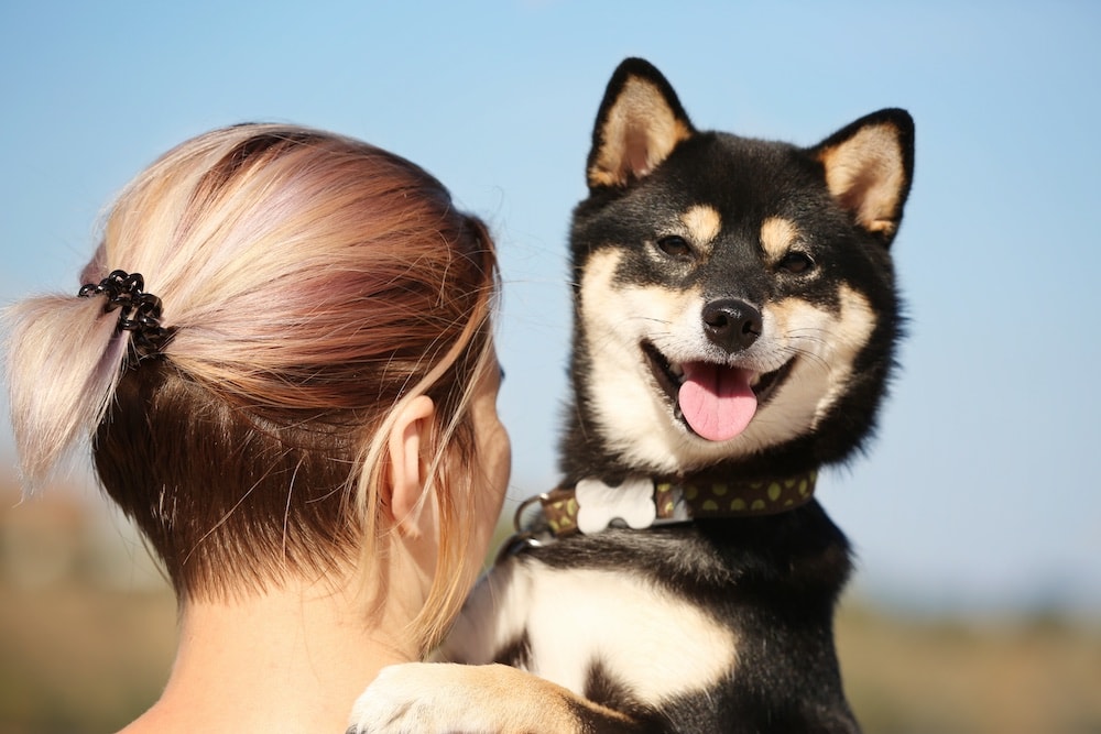 Woman with cute Shiba Inu dog at the riverside