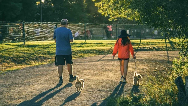 Image from Where to hike in Concord on DogTrekker
