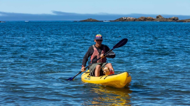 Person paddling kayak with dog by the Little River Inn
