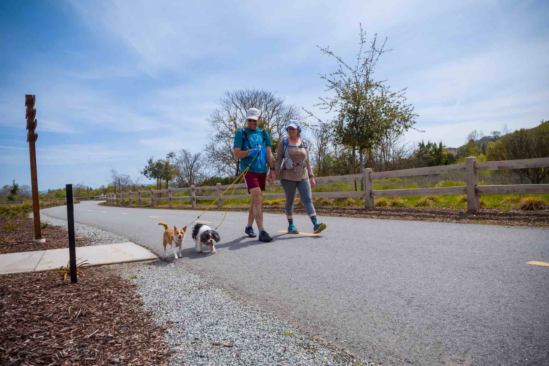 Dog and people on Gilroy trail
